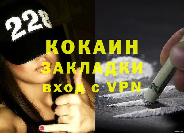 стафф Алексин